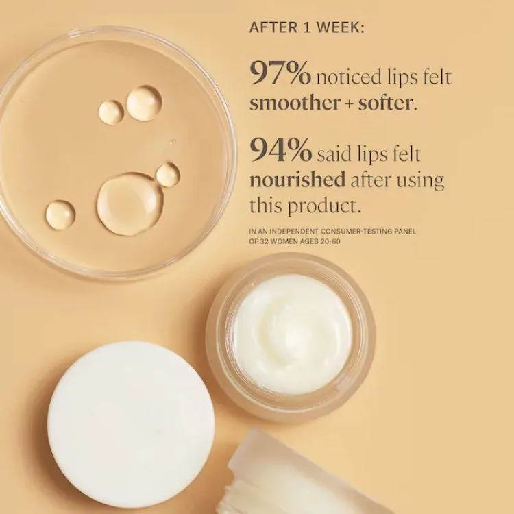 LB5 2023 Colorful Hot Sale Promotional Best Quality Custom All Natural Organic Lip Balm