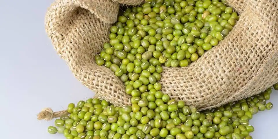 100% Organic Green Mung Beans/ Moong Dal Sprout Mung Beans Use For Sale