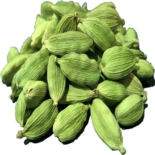 High Quality top grade manufacturer Green and brown fresh and dry Cardamom