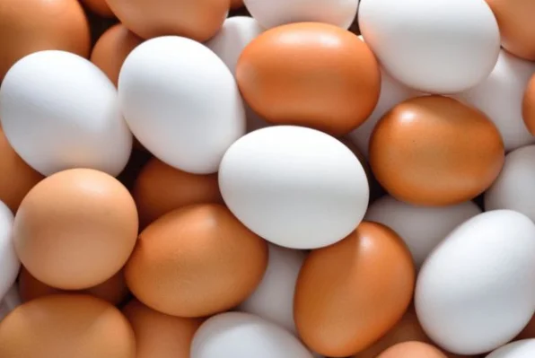 eggs111.png
