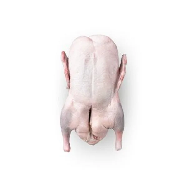 Premium Quality Best Selling Frozen Whole Duck