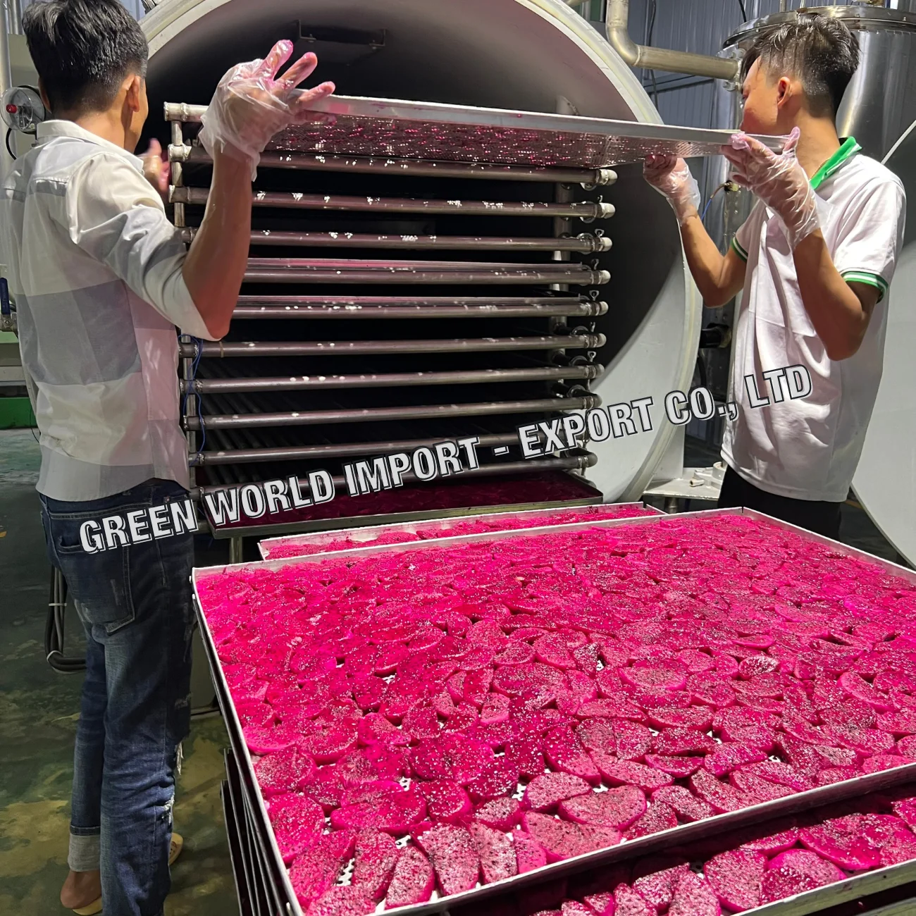 Хрустящие сушеные фрукты дракона из Вьетнама свежие чипсы питая 100% высокое качество и Лучшая