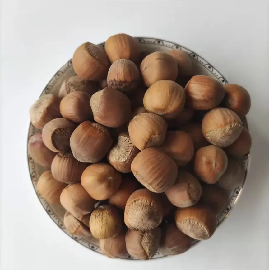 High Quality Hazelnuts From China Best Hazelnut Wholesale Price