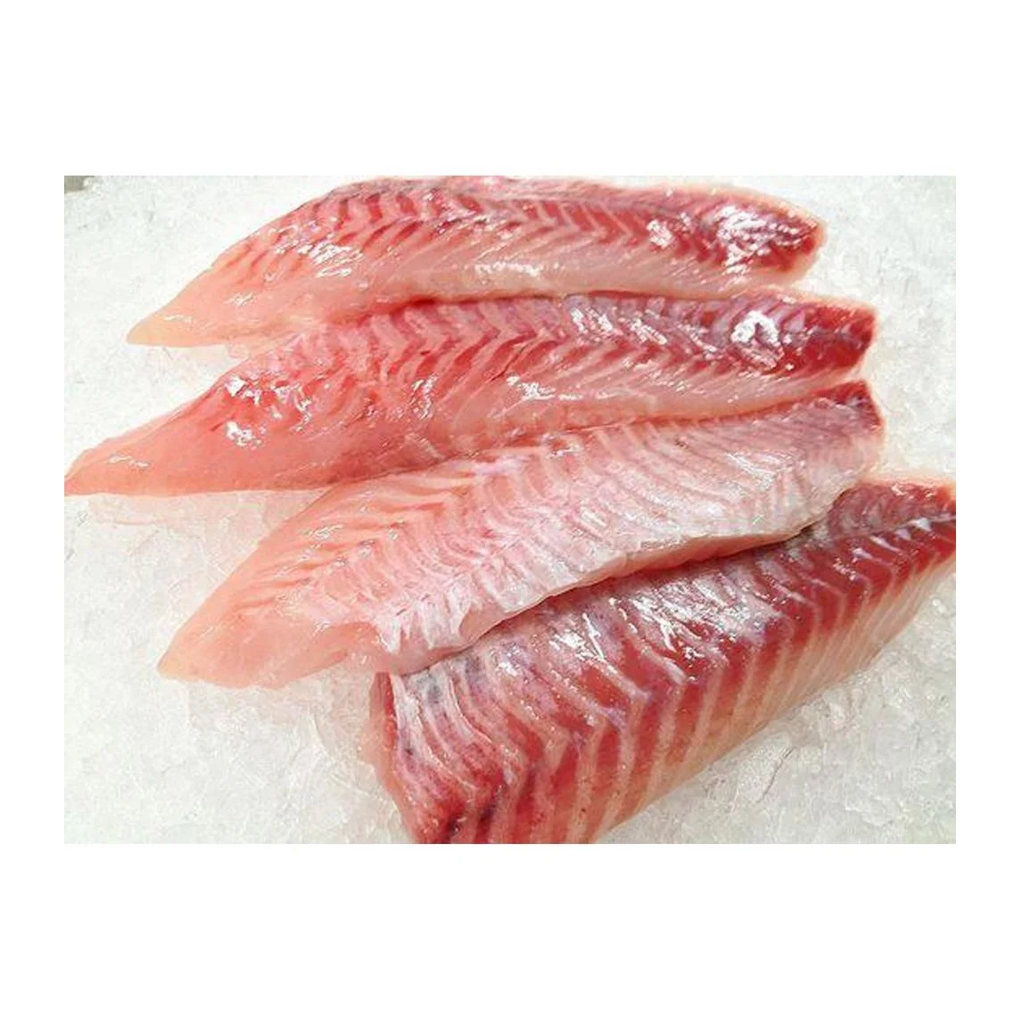 Red Snapper - Fillet - Buy Online