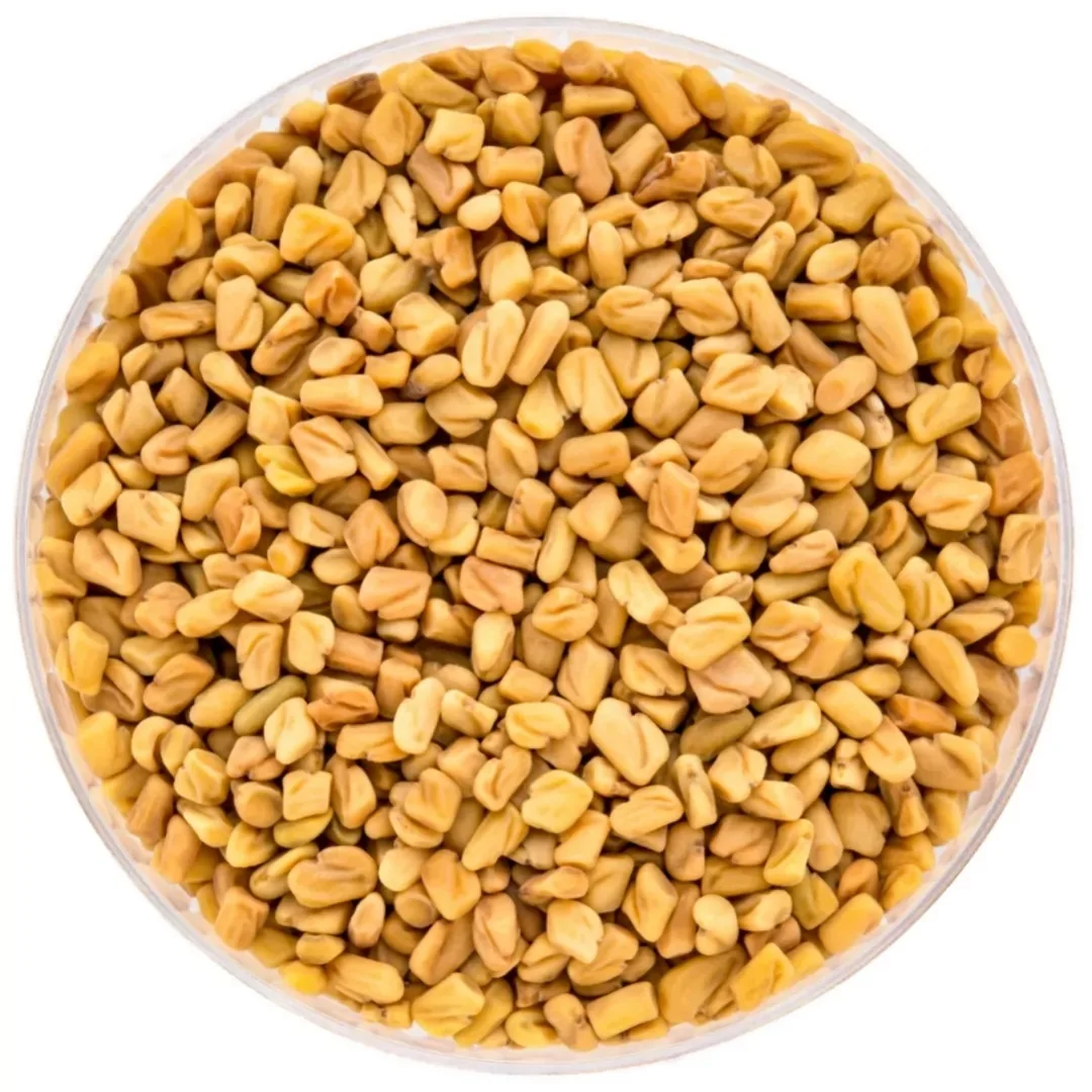PREMIUM GRADE FACTORY PRICE FENUGREEK SEEDS AND POWDER AVAILABLE FROM MANUFACTURER INDIA