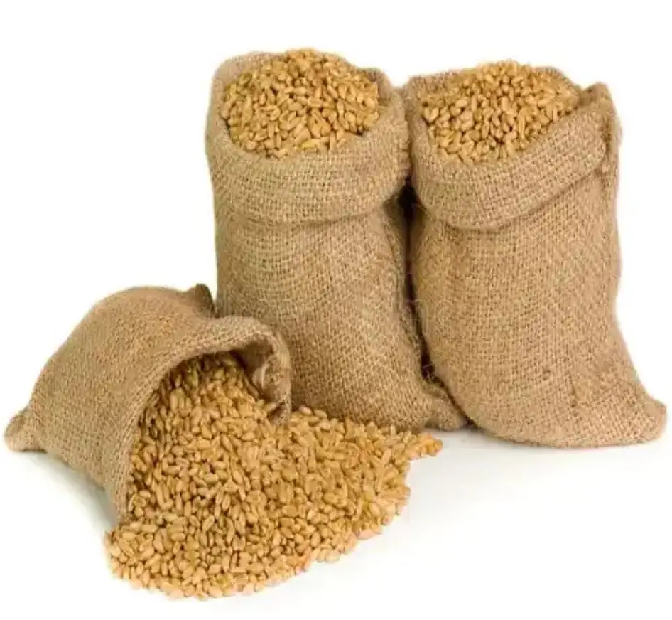 High Quality Flour Wholesale Product - White Color / Whole Wheat Gluten Soft Wheat Flour White