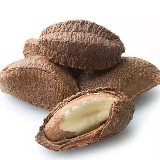 Brazil Nuts Betel Premium Quality Full Of Nutrition Natural Made From Brazil Food Grade in shell and shelled