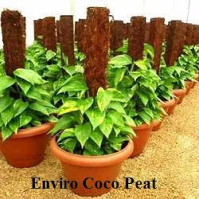 Lowest Price Coconut Coir Pith / Coco Peat for sale Made in India