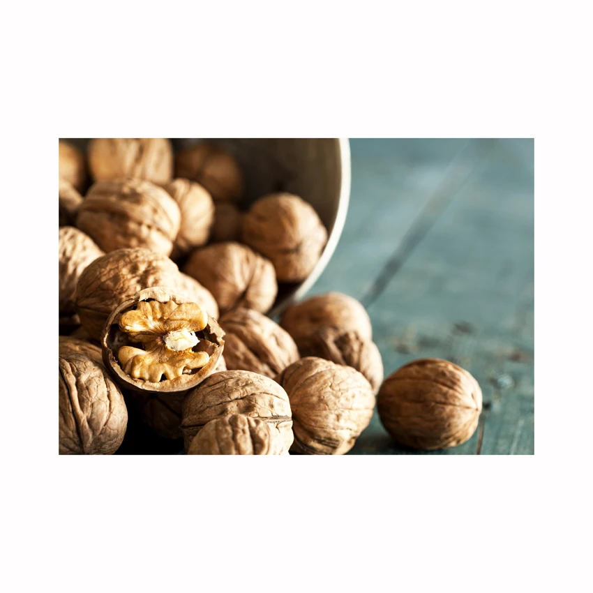 Walnuts Best Seller Manufacturer Wholesale Premium Organic Walnuts in shell Turkey walnut kernel for sale
