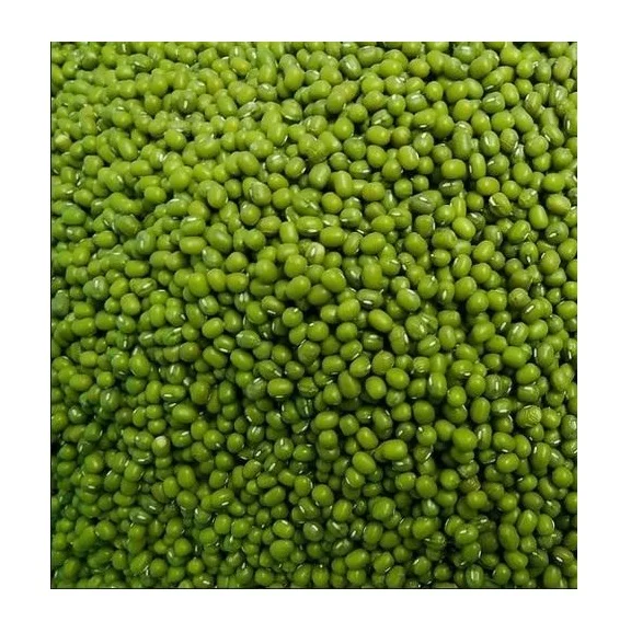 High Quality Green Mung Beans / Whole Moong Beans Available For Sale At Low Price
