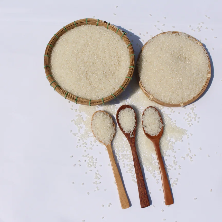 Оптовая продажа высококачественного короткозернового риса белого цвета Japonica Rice ds1 от лучшего поставщика из Вьетнама
