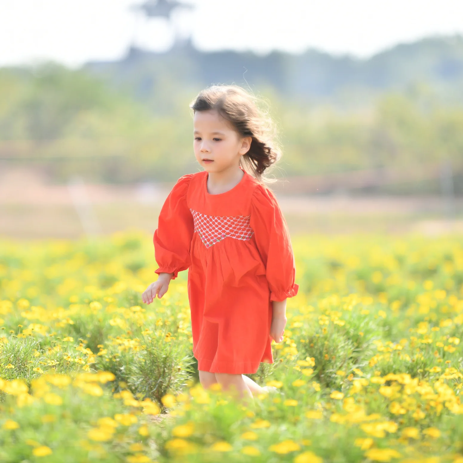 New Arrivals Wholesale Smock Christmas Dresses For Kids Little Girls Sleeves Girls Party High Quality Clothes Baby Girl OEM ODM