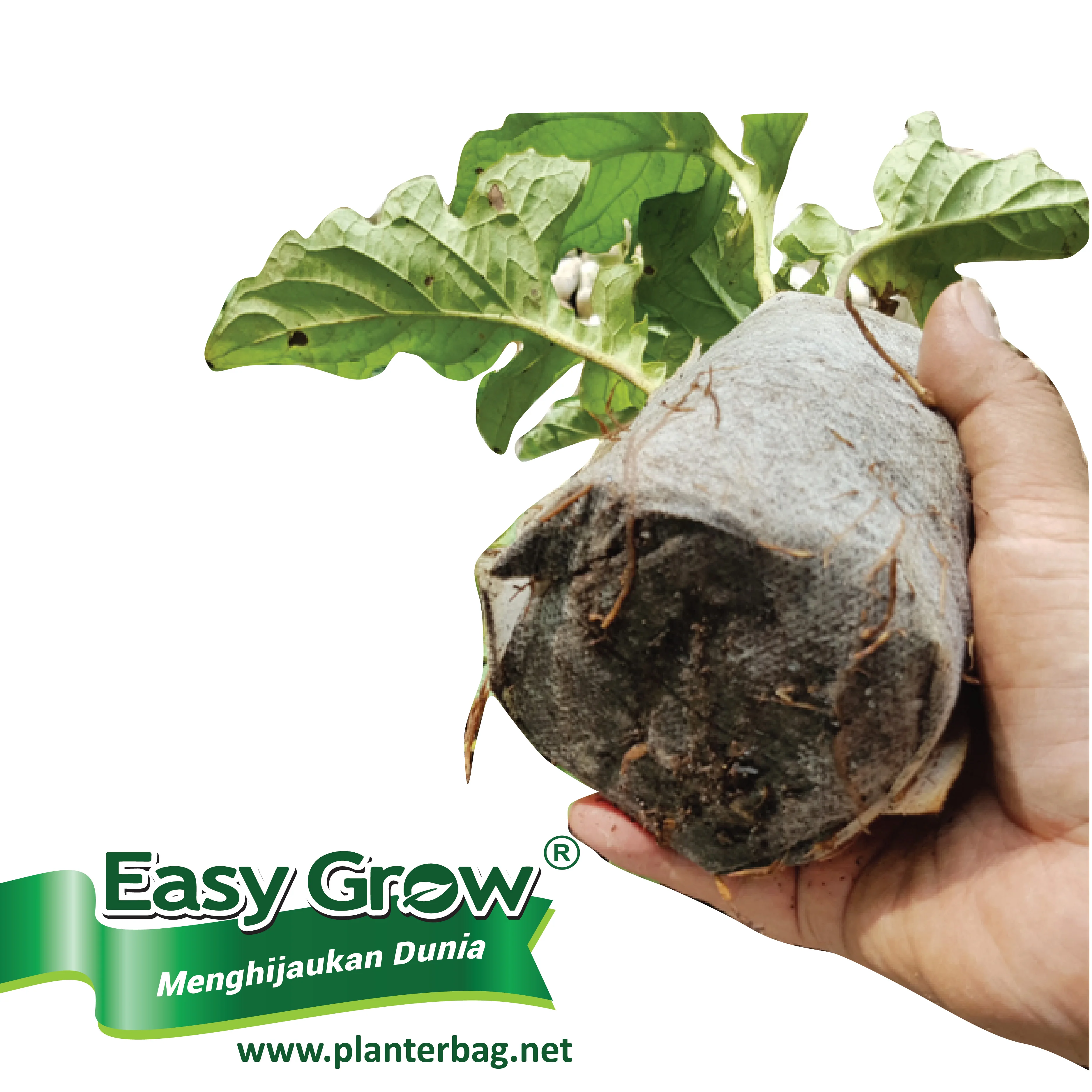 Nursery Plant Seedlings Grow Bag Non Woven Breathable Eco-friendly All Size Black White Easy To Use