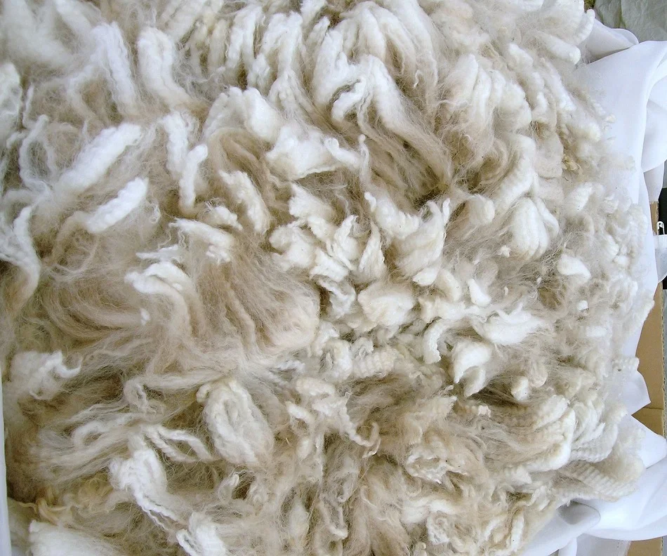 Best quality Alpaca wool from Peru Top Supplier