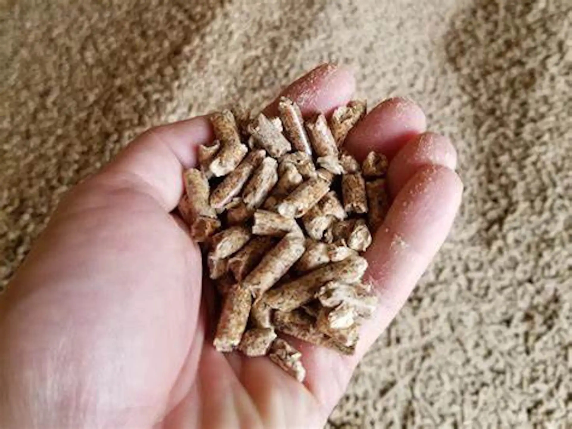High Quality Biomass Burners Wood Pellet Wholesale Wood Pellets Natural Pine Wood