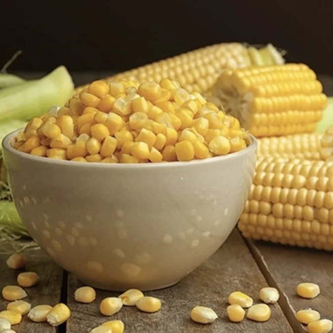 Freshly Harvested Vietnamese Frozen Sweet Corn Cobs Whole Cob Steamed Best Price Free Tax Vacuum Pack
