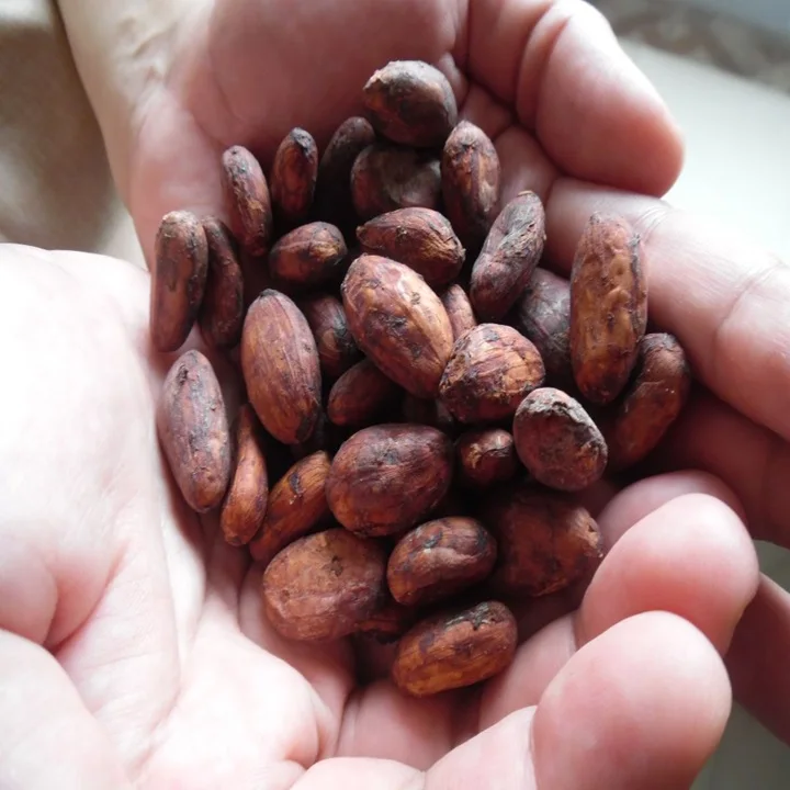 Origin 100% Hawaiian Cocoa Bean (Per Pound) Cocoa beans are the seeds of the cacao tree (Theobroma cacao)