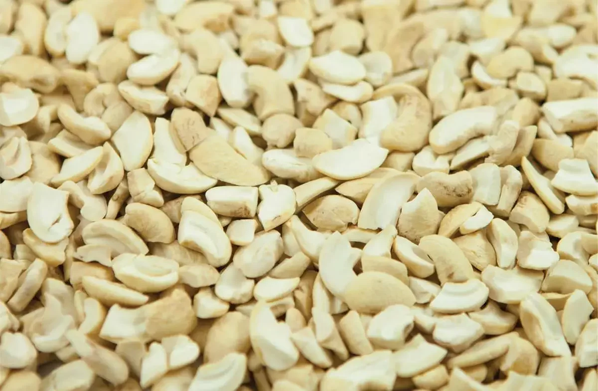 Best Price WS Grade Cashew Nut For Export Wholesale Raw WS Cashew Nut From Vietnam Dried Cashew Without Shell