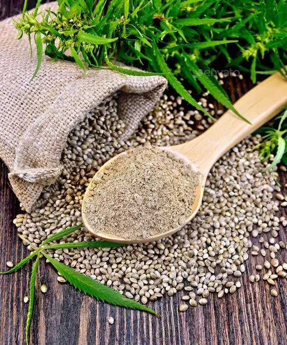 Bulk Quantity High Quality Hemp Seed Plant High quality hemp seeds for food In Cheap Rates