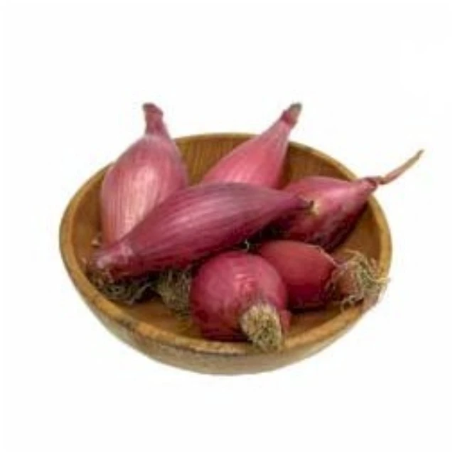 Fresh Vegetables Onions Exporter In Mesh Bags Fresh Yellow Onions High Quality Suppliers Low Price