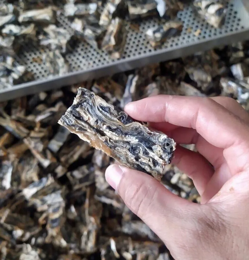 Wholesale Healthy Pet Puppy Food Chew Dog Snack Dried Pangasius Fish Skin