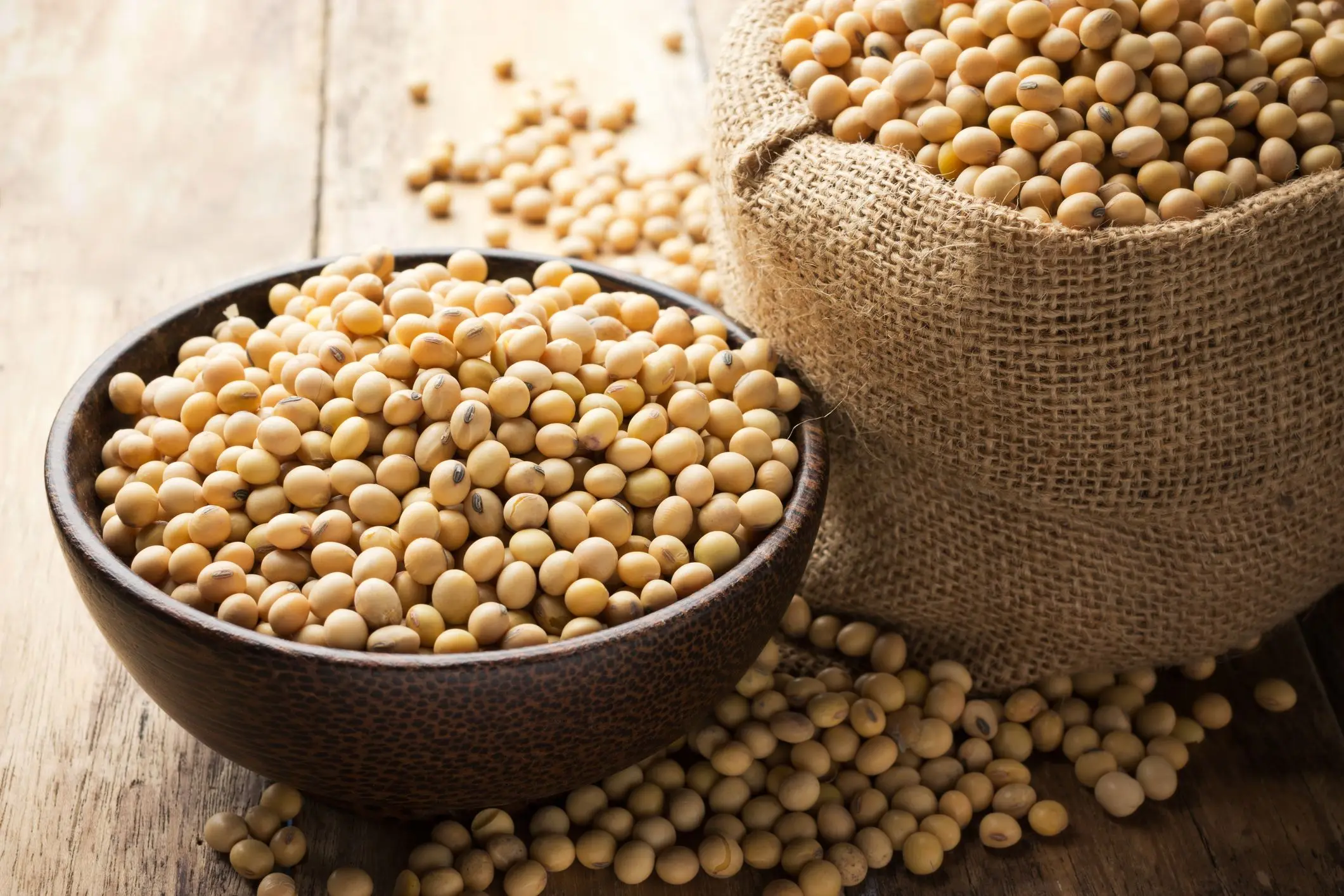 soybeans non gmo yellow soybean soya bean seed 25 Kg dried