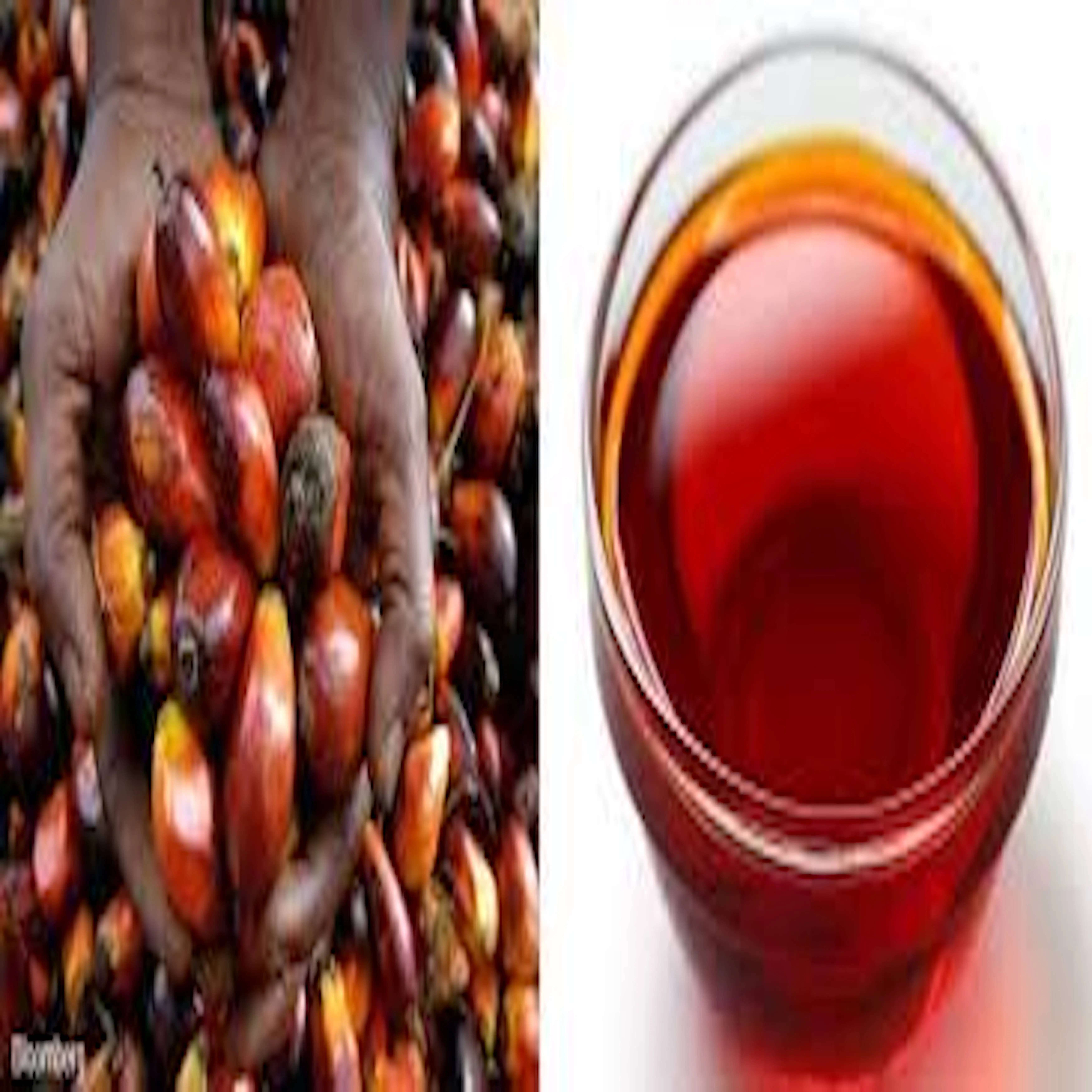 palmoil.jpeg