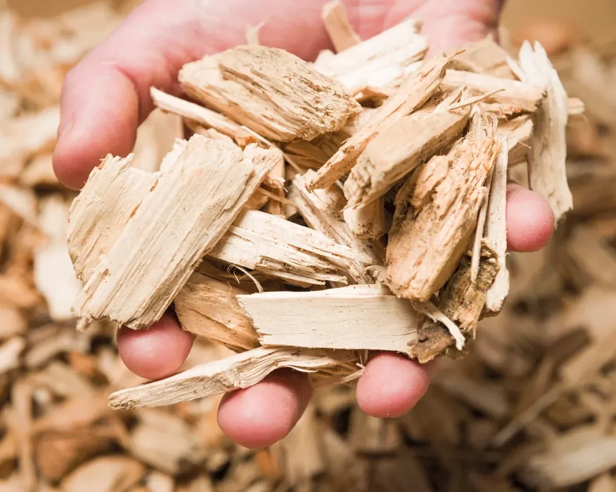 pine wood chips.png