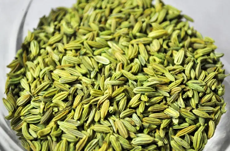 Single Spices Indian origin fennel seed