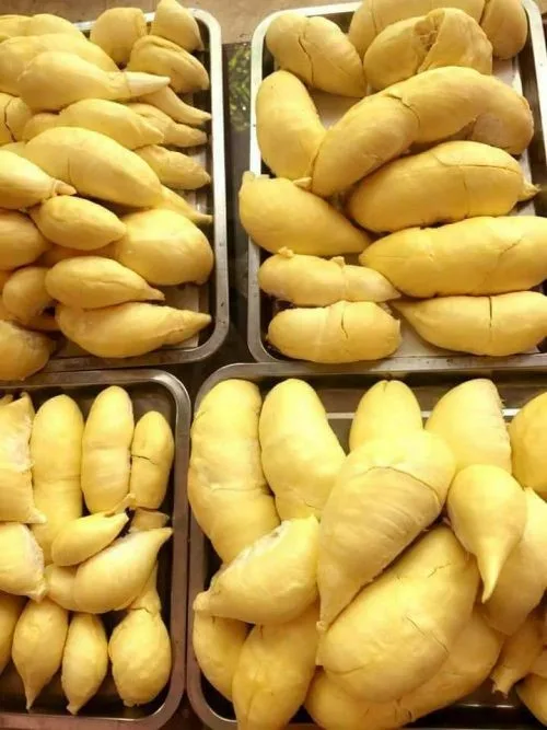 FROZEN RI6 / MONTHONG DURIAN  - VIETNAM ORIGIN - Ms. Hana +84 395690184 - CAREM TROPICAL BRAND