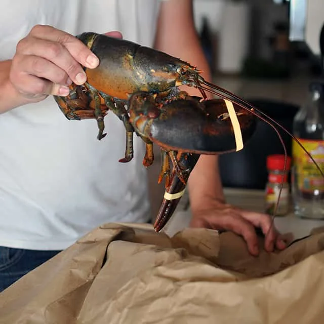 LIVE CRAYFISH - SPINY LOBSTER WHOLE ROUND GOOD PRICE