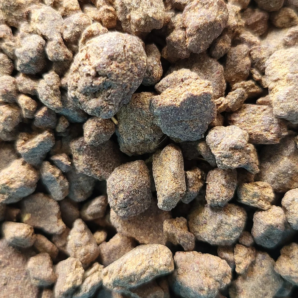 High-Protein Rapeseed Meal Nutrient-Rich Feed for Healthy Digestion and Absorption in Fish Dogs Pigs Other Animals