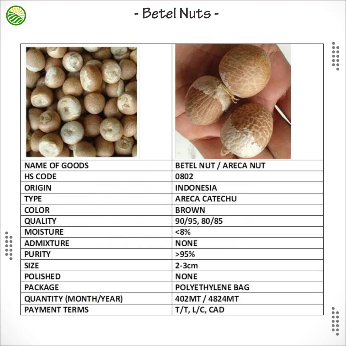 Лучший BETEL NUT! 100% Индонезии; Сделаны из натурального коричневого цвета молодых сушеный орех катеху