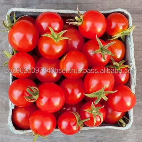 Fresh-Plum-Tomatoes.jpg
