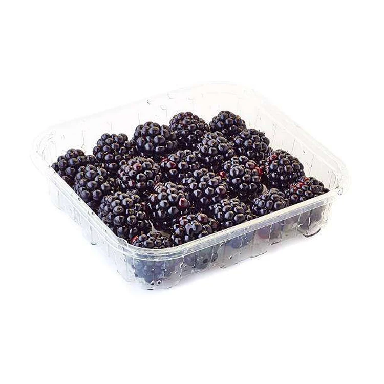 Best Buy Bulk Quantity Export Fresh Nutritious and Delicious Berries Natural Sweet Fruit Blackberry Available for Bulk Buyers