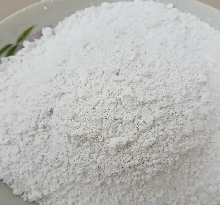 White Dried Solid Hydrated Lime commonly used as a building material