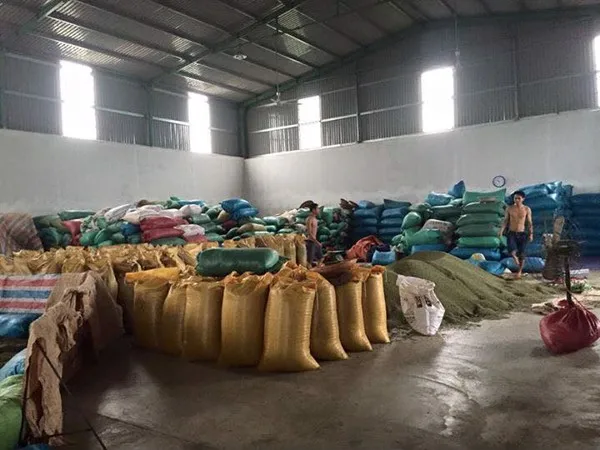 Whole Green Mung Beans from Viet Nam Exporter with the good price and premium quality