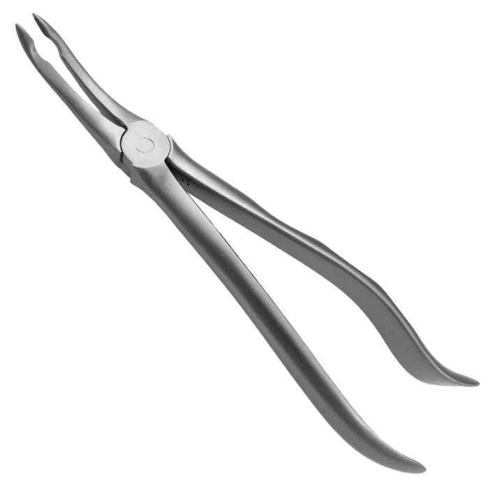 Special Extract Forceps #144, Upper Roots, Allis Tissue Forceps Hemostatic Forceps Adson Tissue Forceps Dressing Forceps