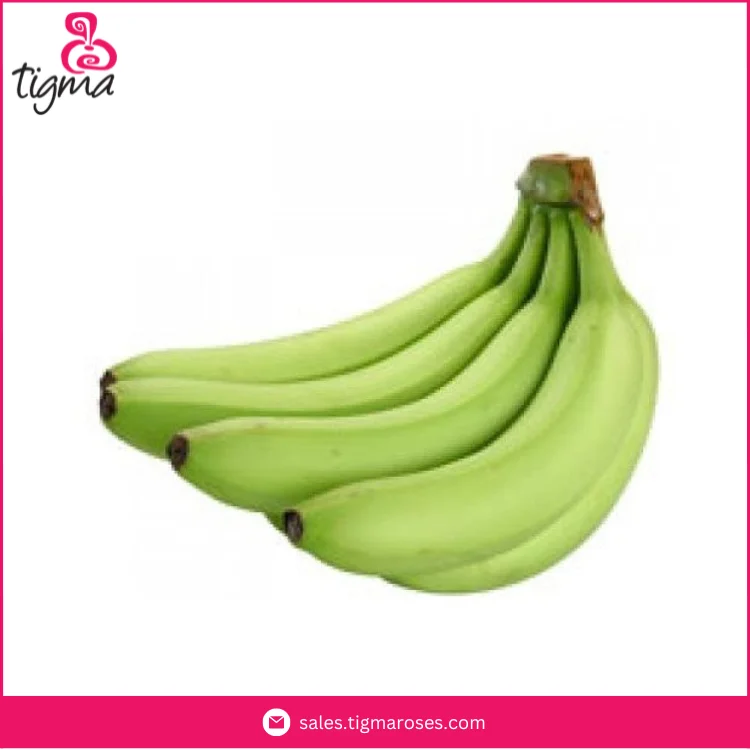 Best Quality Premium Grade 100% Natural Fresh Cavendish Bananas Originated from Ecuador Manufacturer