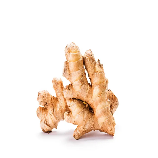 Cheap Price Bulk Sale Top Quality 250G Mature Fresh Air dry Chinese Specification Ginger Export To Europe Market wholesale