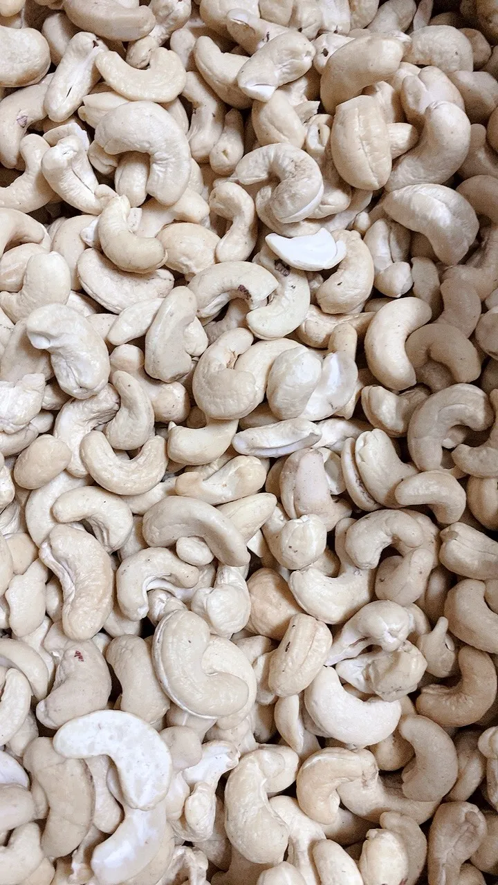 Cheapest Fado iExport Manufacturer Raw Cashew WS From Vietnam Wholesales Factory Price