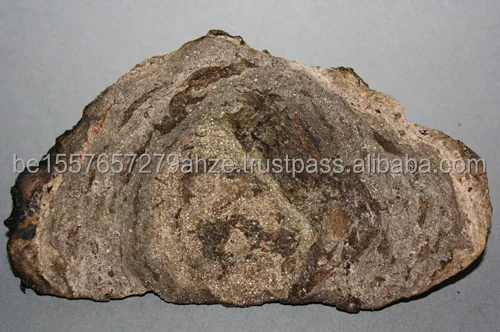 Buy Ambergris Near Me.jpg