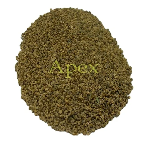 Семена сельдерея