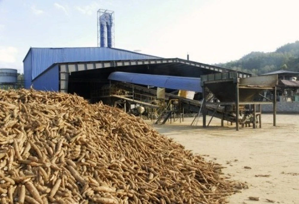 Hot Selling 2023 Wholesale Frozen Cassava Root Tapioca Chunks Made in Vietnam Competitive Price