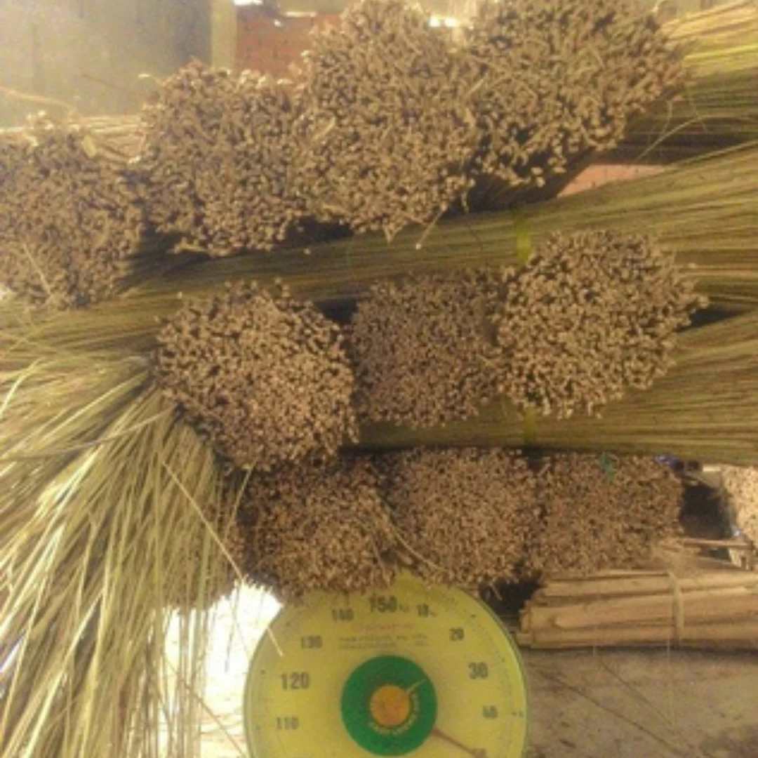Good Price Coco Broom Sticks from Vietnam Factory/ High Quality Coconut Broom Sticks (+84 862 768 909)