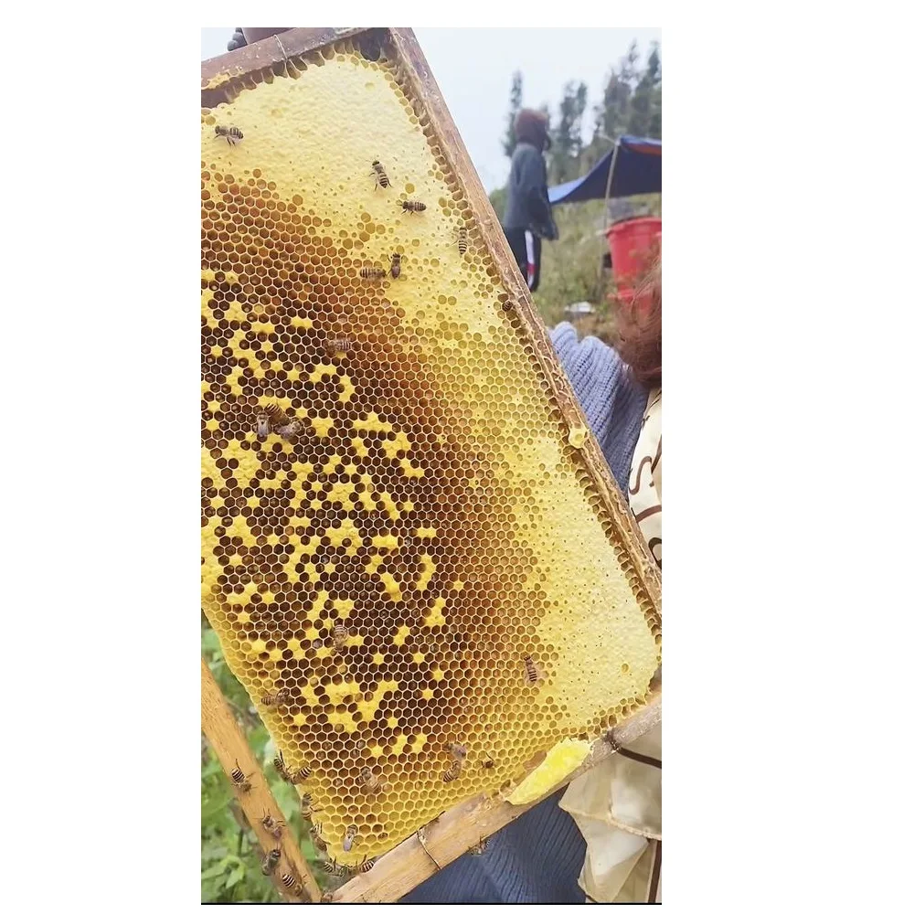 Reasonable Price OEM/ODM Premium Quality Low MOQ Organic Natural Forest Bee Honey with 3 years Shelf Life From Vietnam