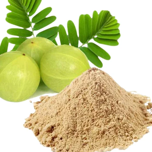 100% Pure Amla Fruit Powder Skin Hair Multi-Type Uses Moisturizing Hair Conditioner Manufactured India Low Prices-Wholesale Sale