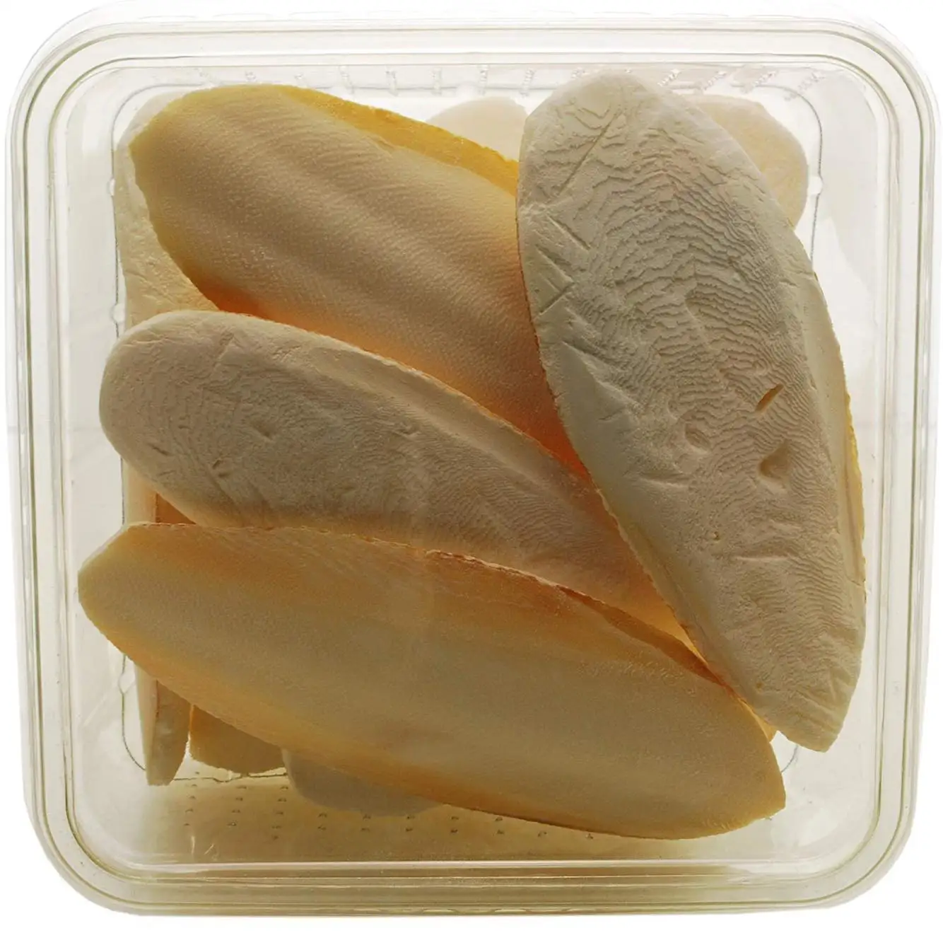 High Quality Dry Cuttlefish Bone 100% Natural Cuttlefish Bone from Vietnam