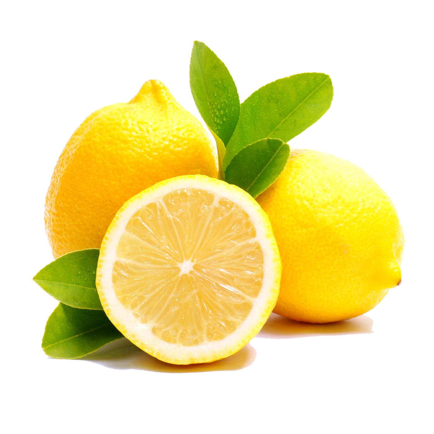 Best Grade Fresh Lemon / Fresh Lime in Bulk Competitive Price Wholesale