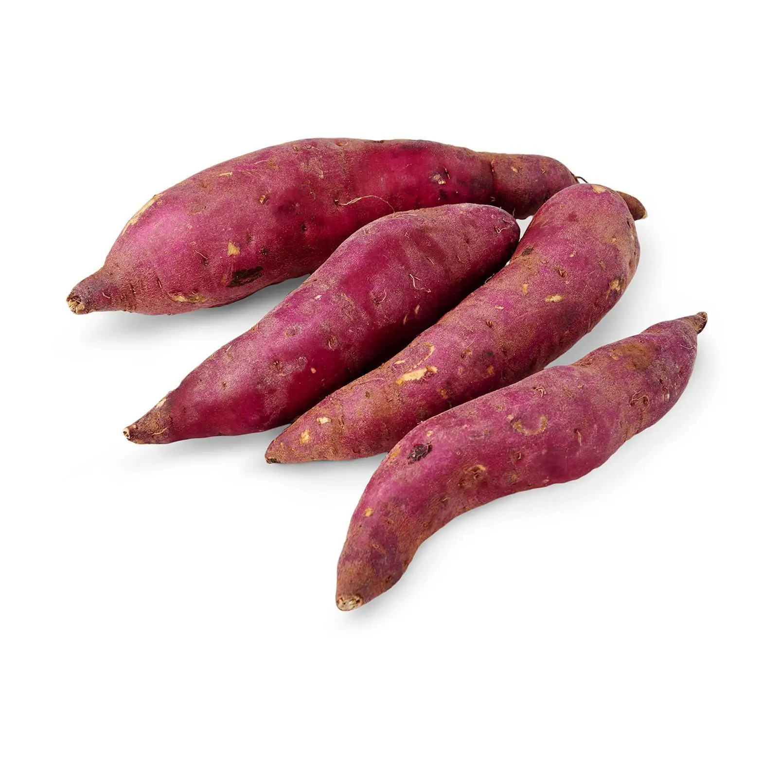 Top Fresh Purple Sweet Potato - Wholesale Price - Export From Vietnam